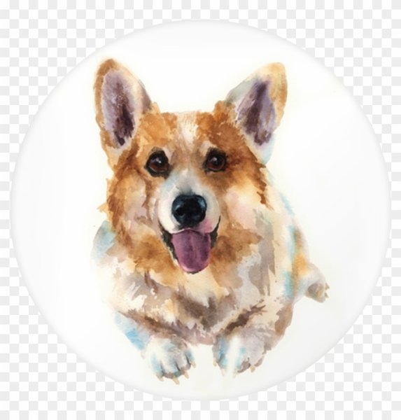 Корги акварелью