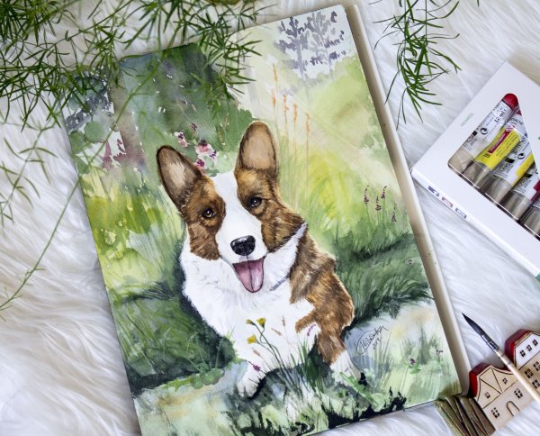 Корги маркерами