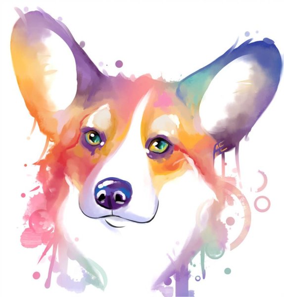 Морда корги арт