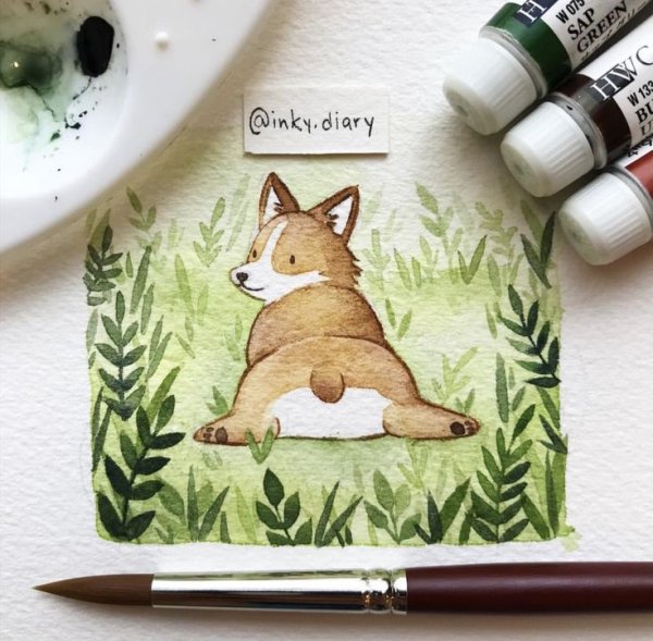 @Inky.Diary корги