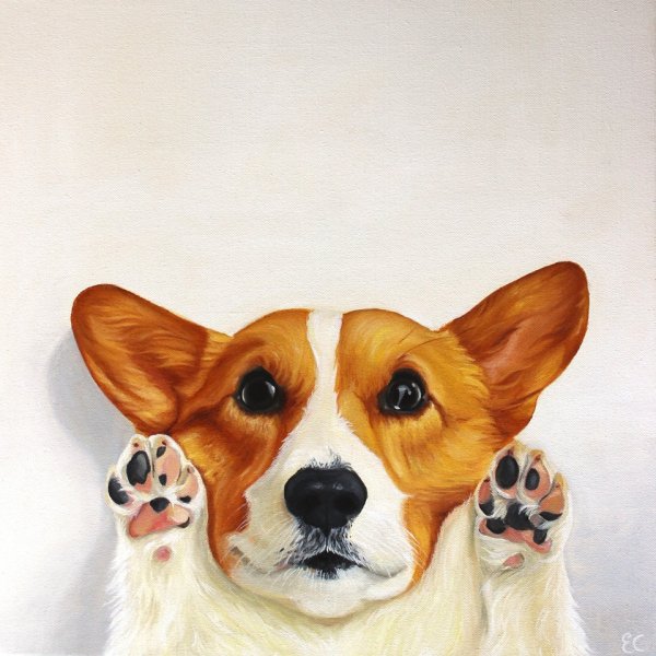 Корги художник