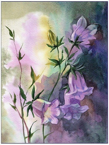 Рэйчел МАКНОТОН художник