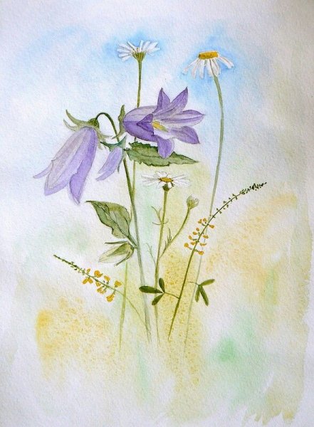Колокольчики в живописи акварелью
