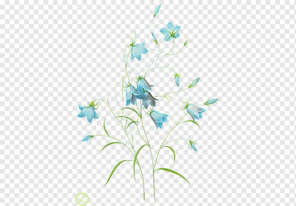 Колокольчики акварелью