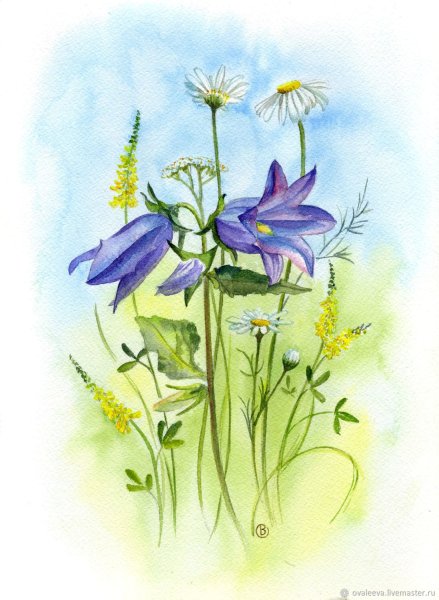 Акварель Карен Симмонс Лесные колокольчики