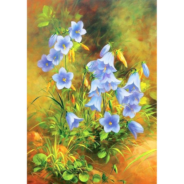 Цветы акварельными карандашами