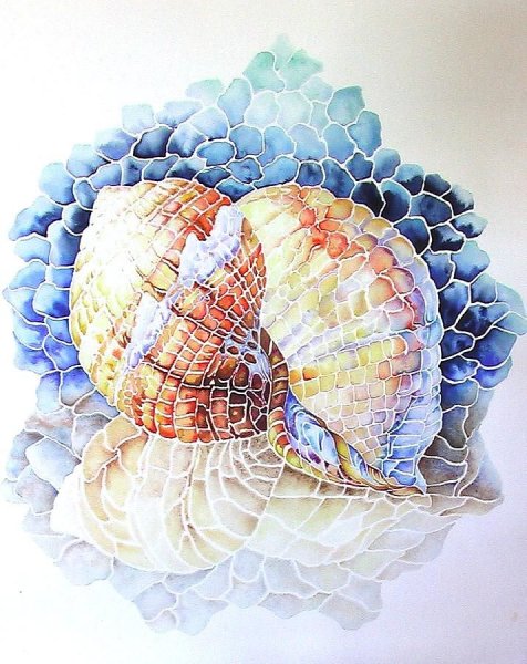 Ракушки в живописи