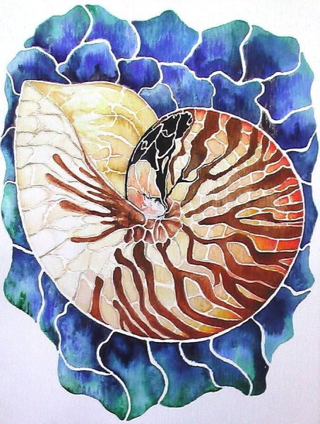 Батик Аммонит