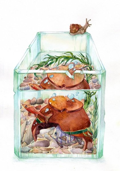 Аквариум рисунок