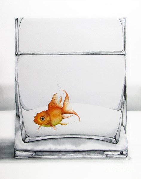 Аквариум акварелью