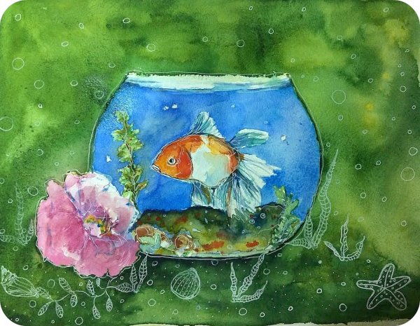 Аквариум для рисования