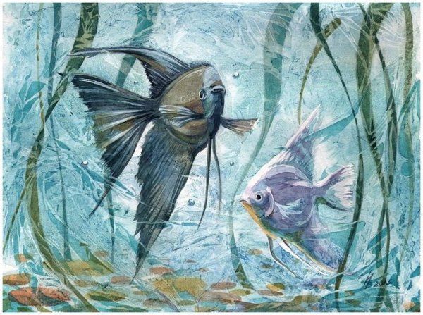 Морские рыбки акварель