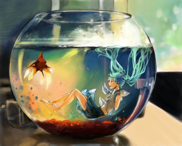 Золотая рыбка в круглом аквариуме