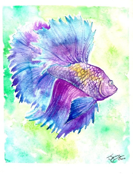 Рисование акварелью рыбы