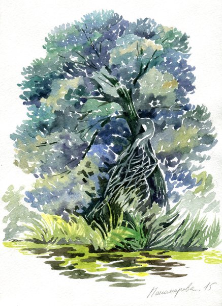 Плакучая Ива акварелью