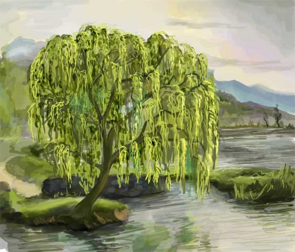 Плакучая Ива для детей