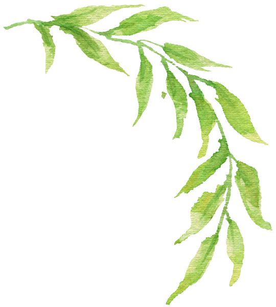 Веточка с листочками