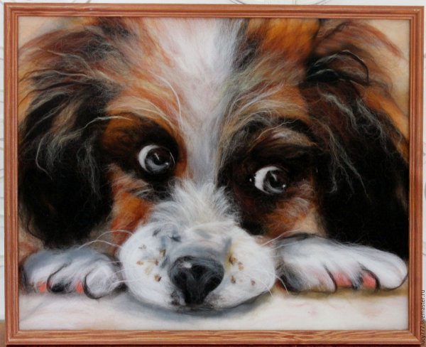 Шерстяная акварель