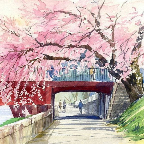 Японский пейзаж акварелью