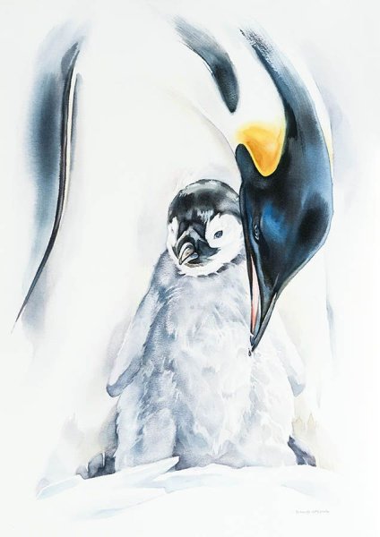 Пингвинёнок акварелью