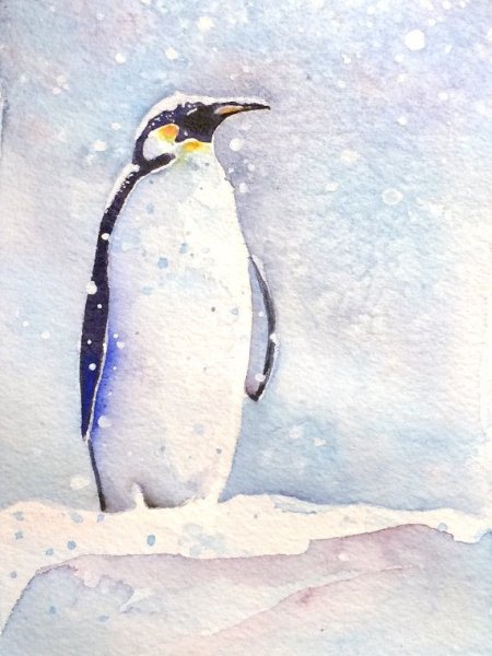 Пингвины живопись