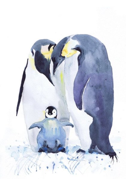Пингвин акварелью