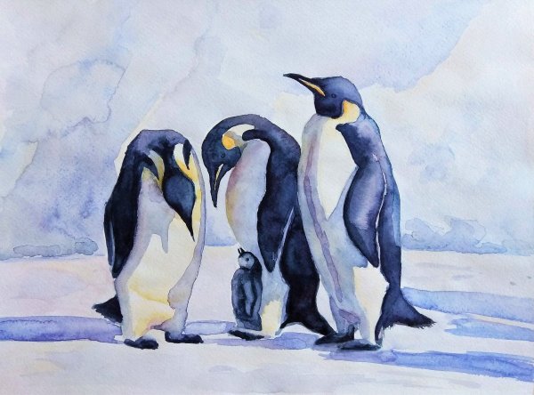Пингвиненок гуашью