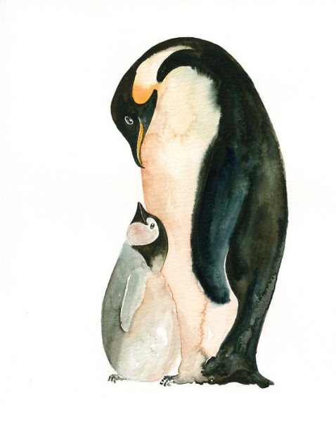 Пингвин акварелью