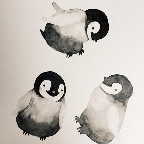 Пингвиненок акварелью