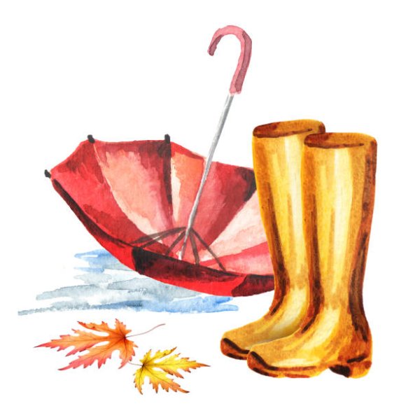 Осенние сапоги и зонт