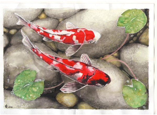 Японские карпы кои в живописи