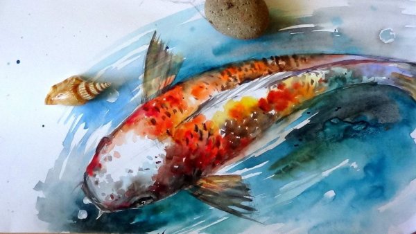 Рыбы кои акварель