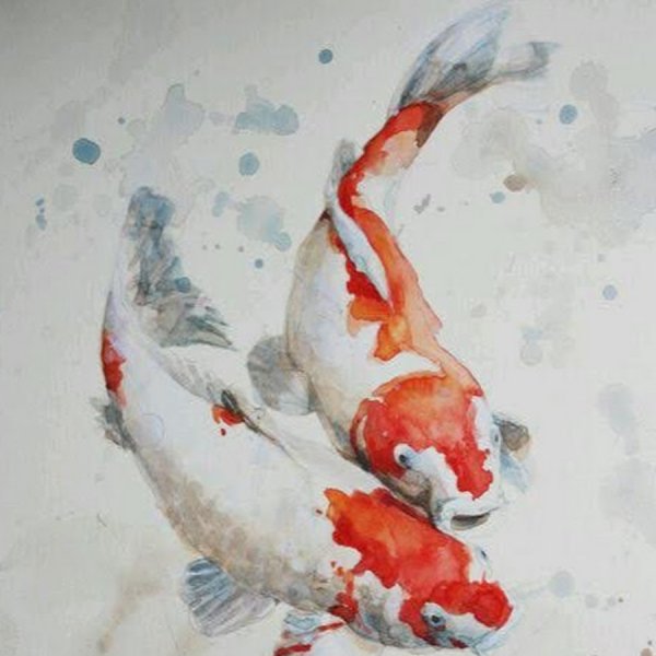 Китайский Карп акварель