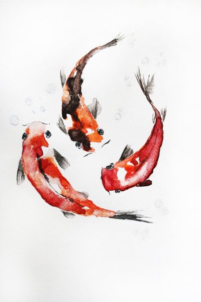 Японский Карп кои арт