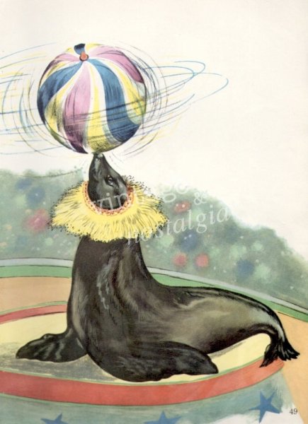 Розовый цирк