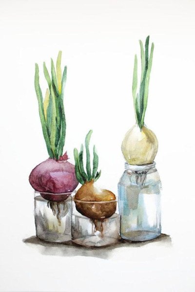 Лук акварелью