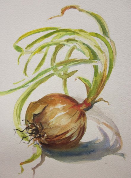 Этюд лука акварелью