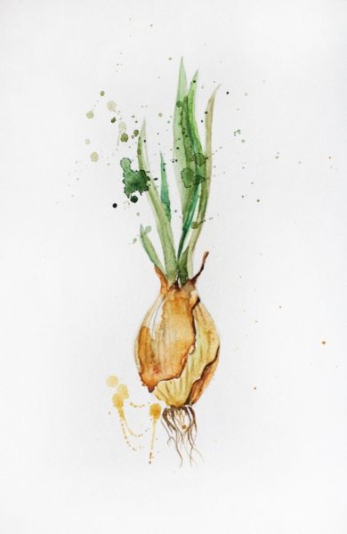 Зеленый лук акварель