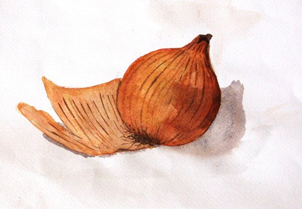 Этюд лука акварелью