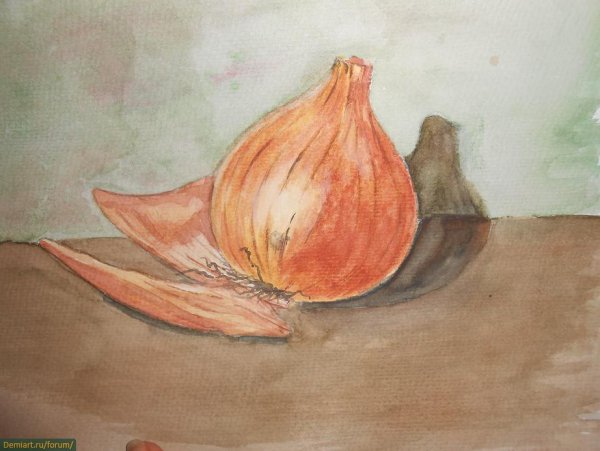 Чеснок акварелью