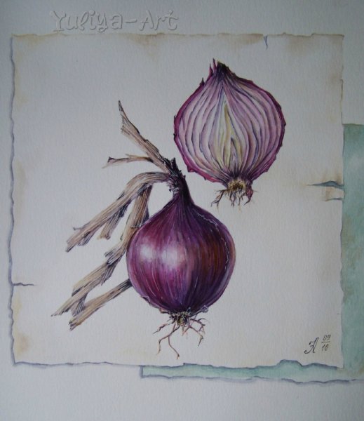 Андрияка лук акварелью