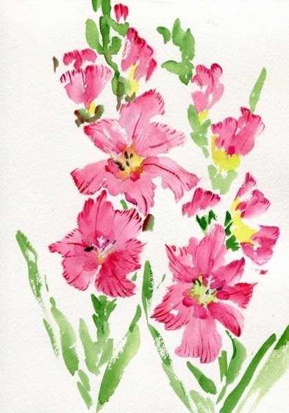 Гладиолусы в живописи акварелью