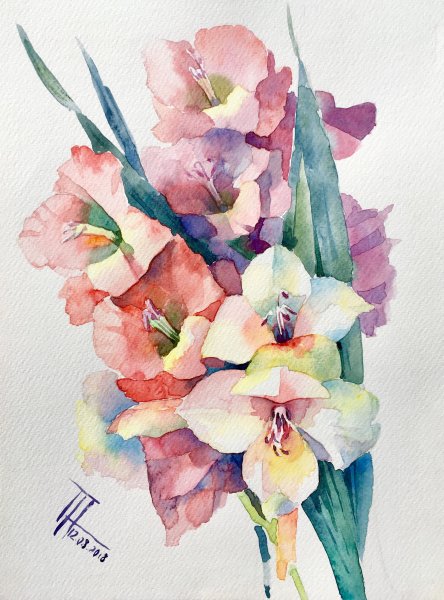 Гладиолусы акварелью Андрияка