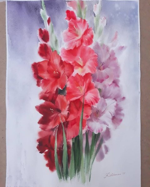 Гладиолус цветок акварелью