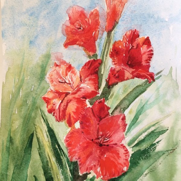 Гладиолус drawing