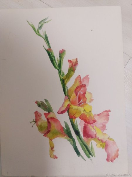 Гладиолусы стилизованные