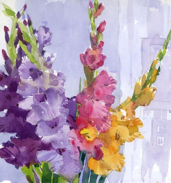 Гладиолусы для рисования