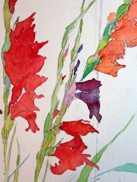 Ботаническая акварель гладиолусы