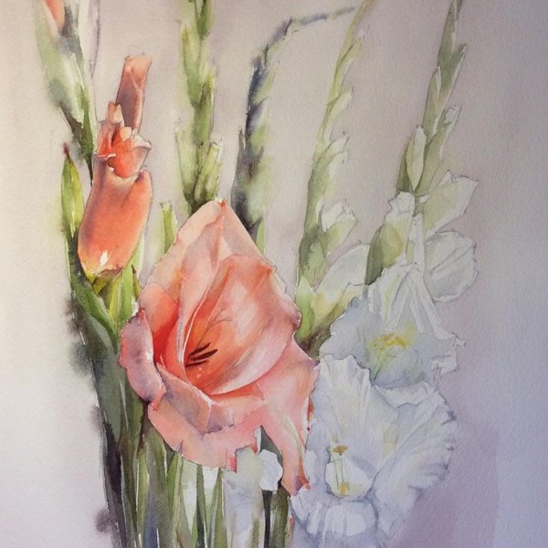 Ольга Базанова красный Гладиолус