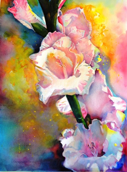 Гладиолус Ботаническая иллюстрация